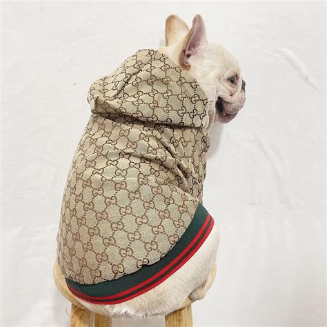 abbigliamento per cani gucci|Gucci designer dog clothing.